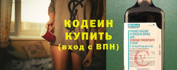 хмурый Пересвет