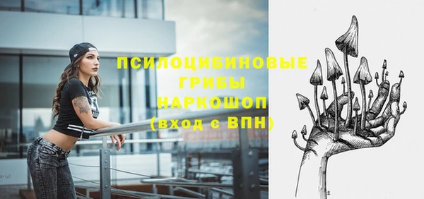 гидра Алексеевка