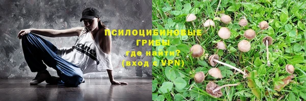 спайс Алзамай