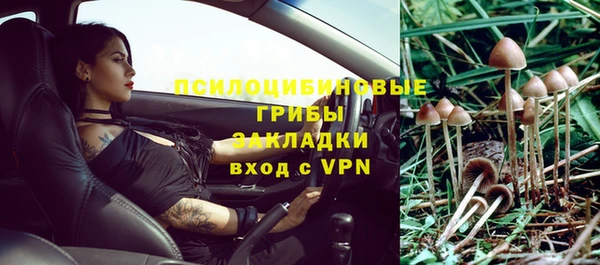 гидра Алексеевка