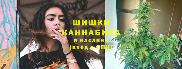 спайс Алзамай